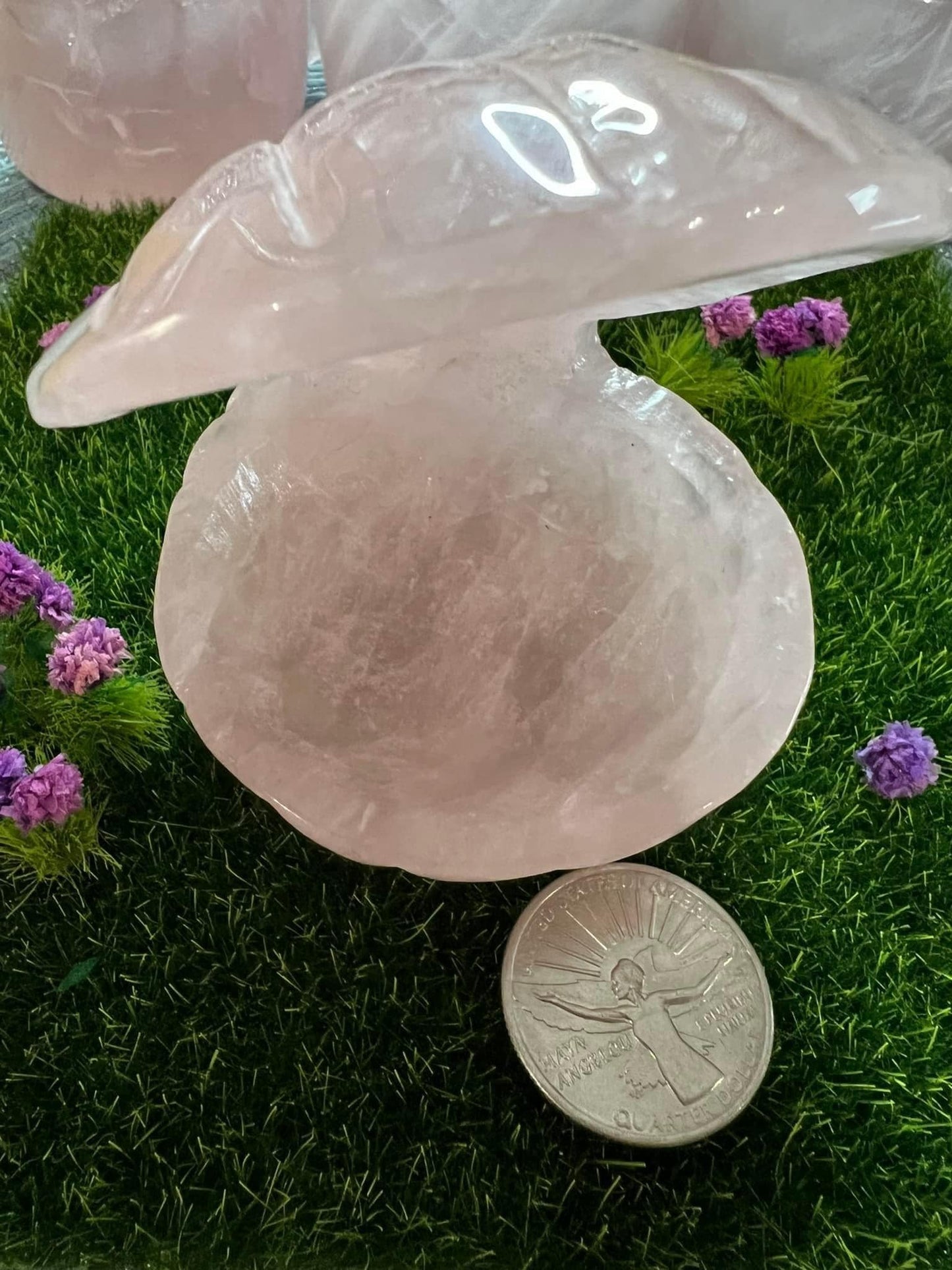 Rose Quartz Clam Shell