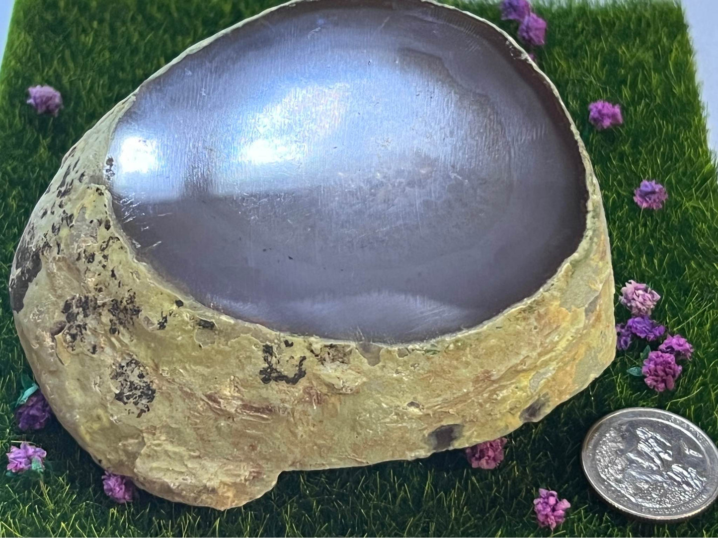 Agate Enhydro