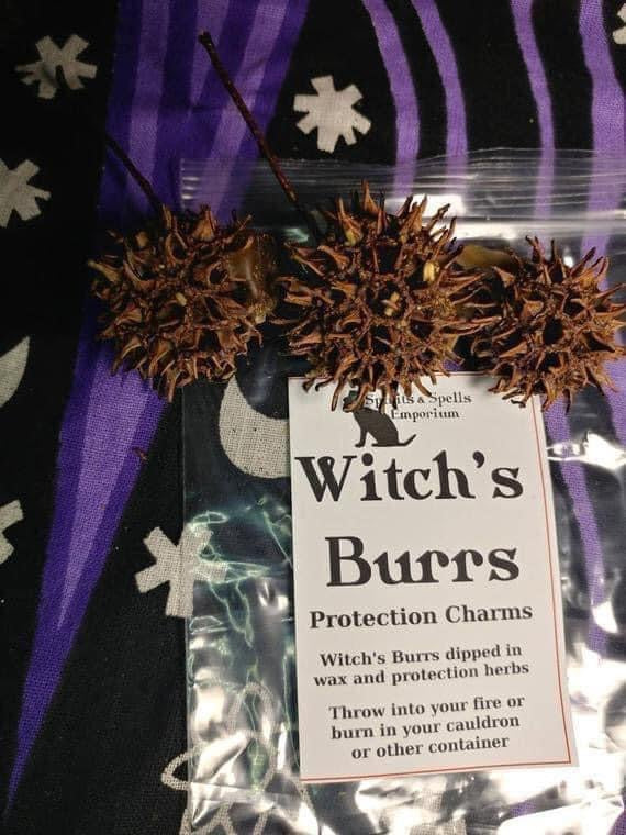 Witches Burrs