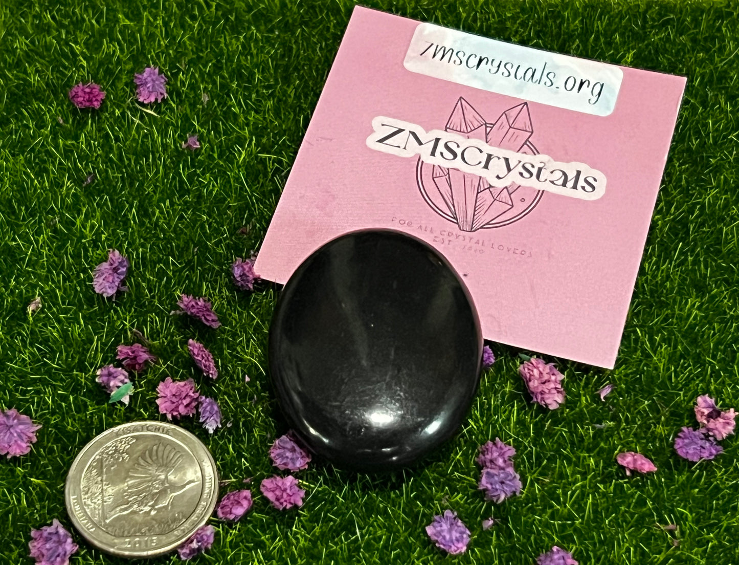 Shungite palm stone