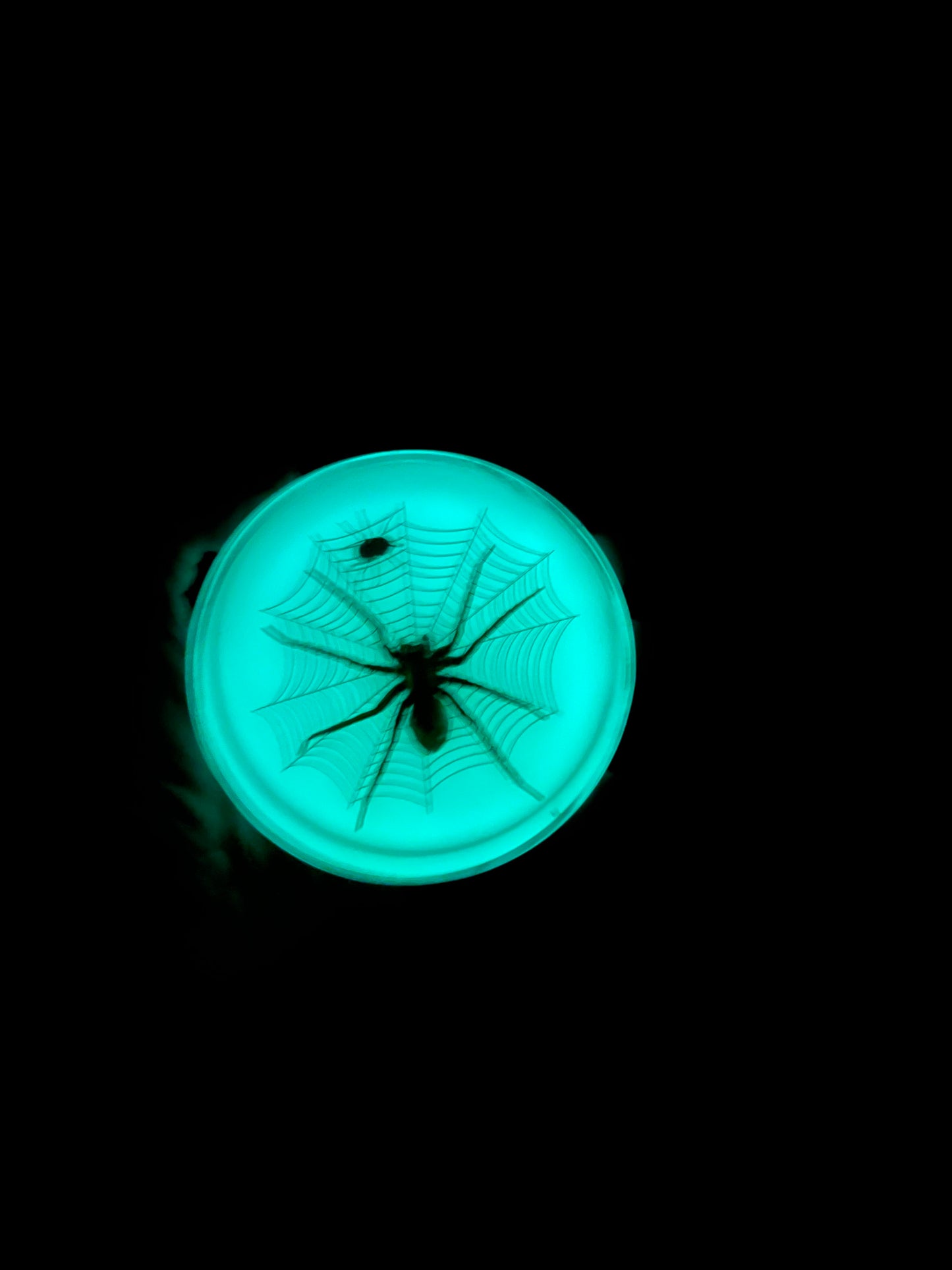 Luminous Resin Spider Disc