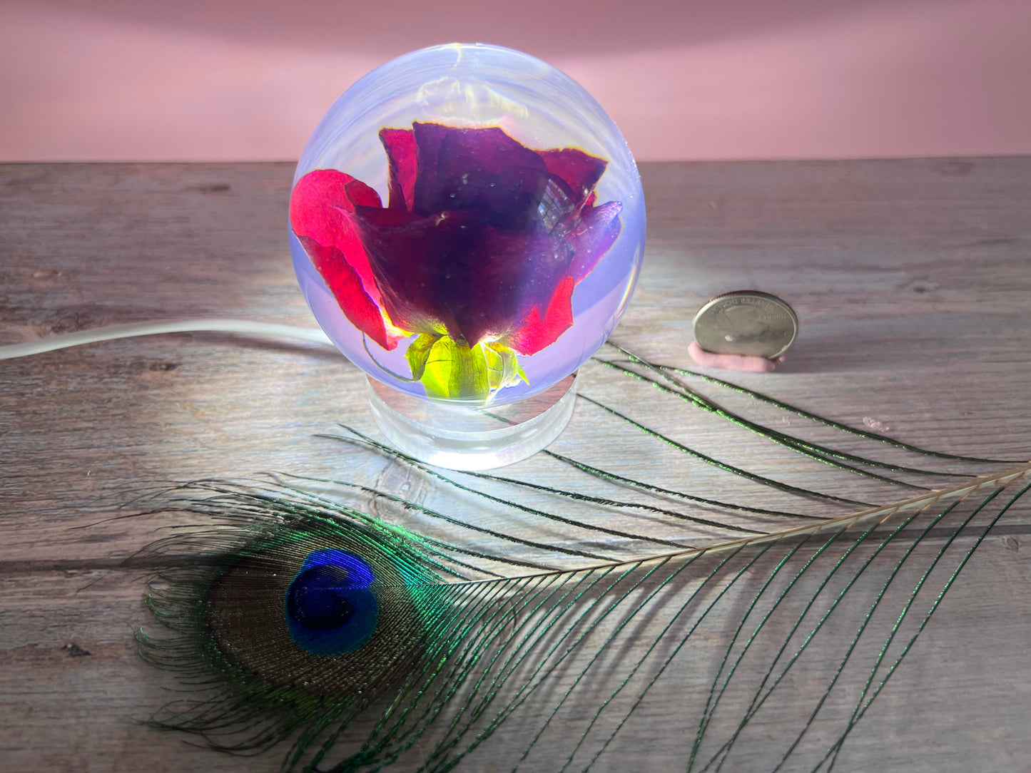 Rose in a resin sphere