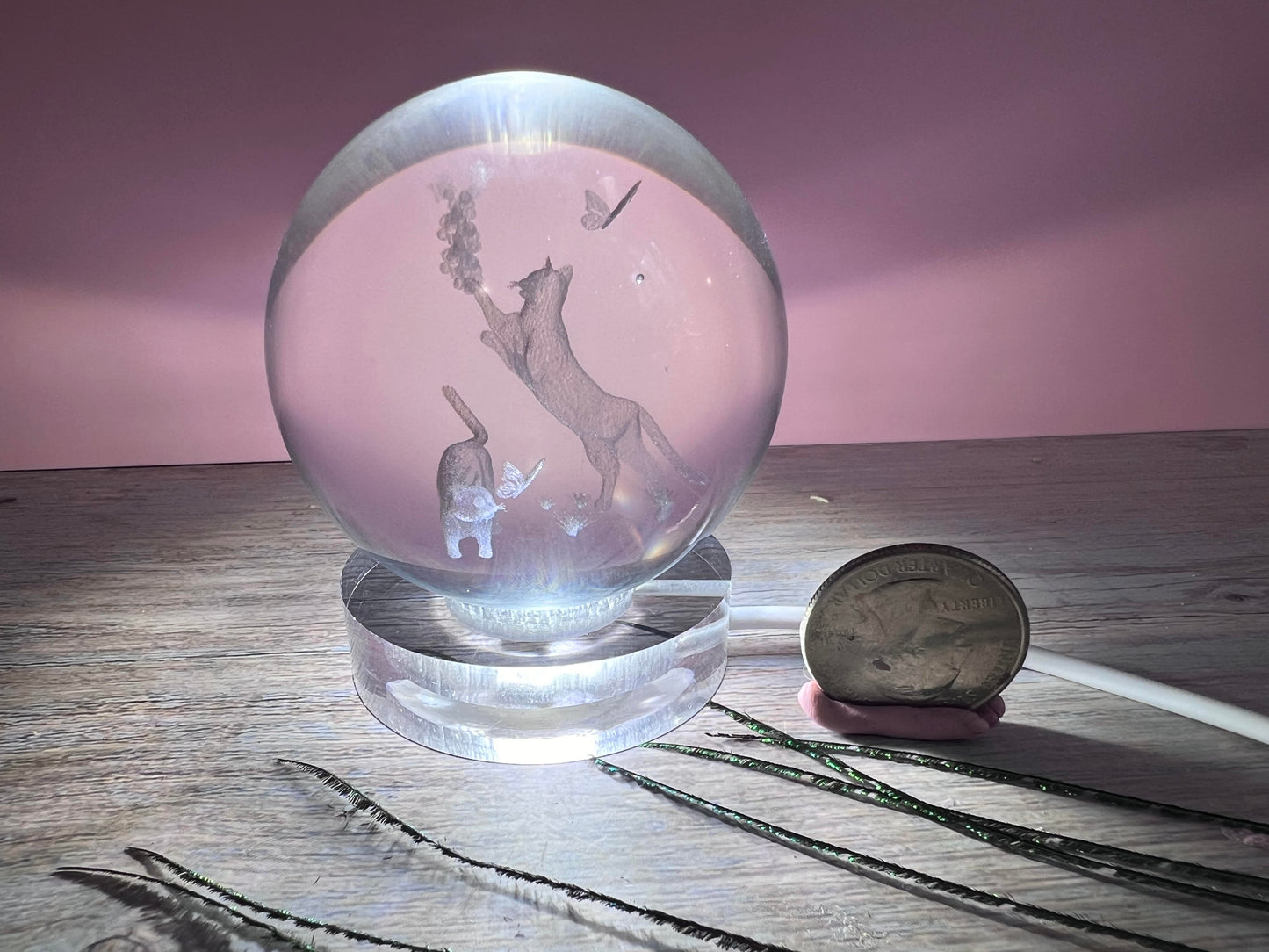 Engraved Cats in resin sphere