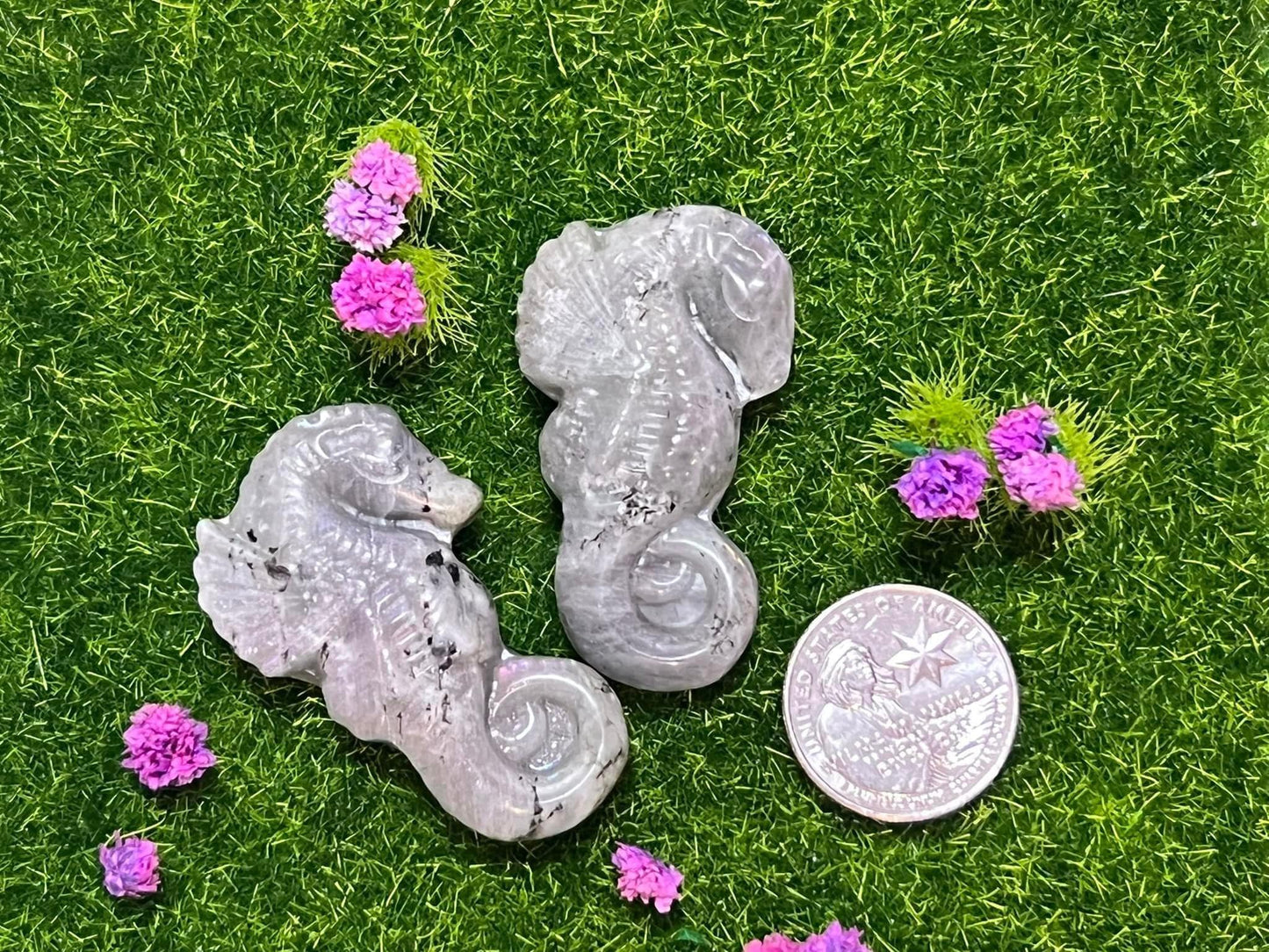 Labradorite Seahorse