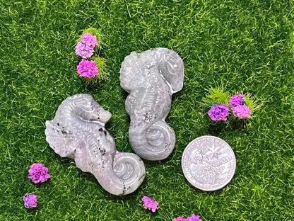 Labradorite Seahorse