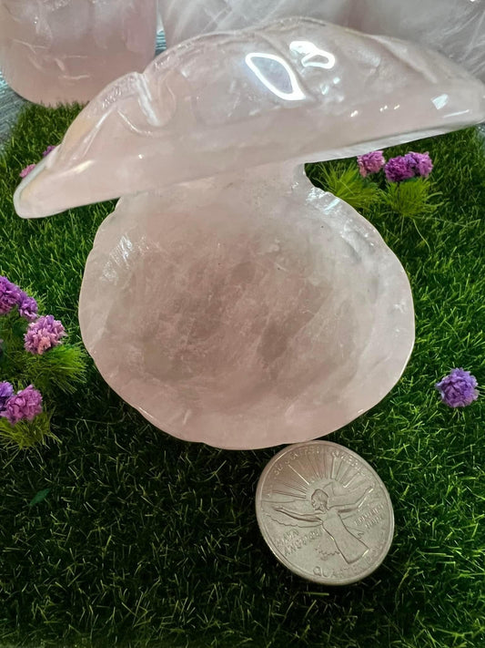 Rose Quartz Clam Shell