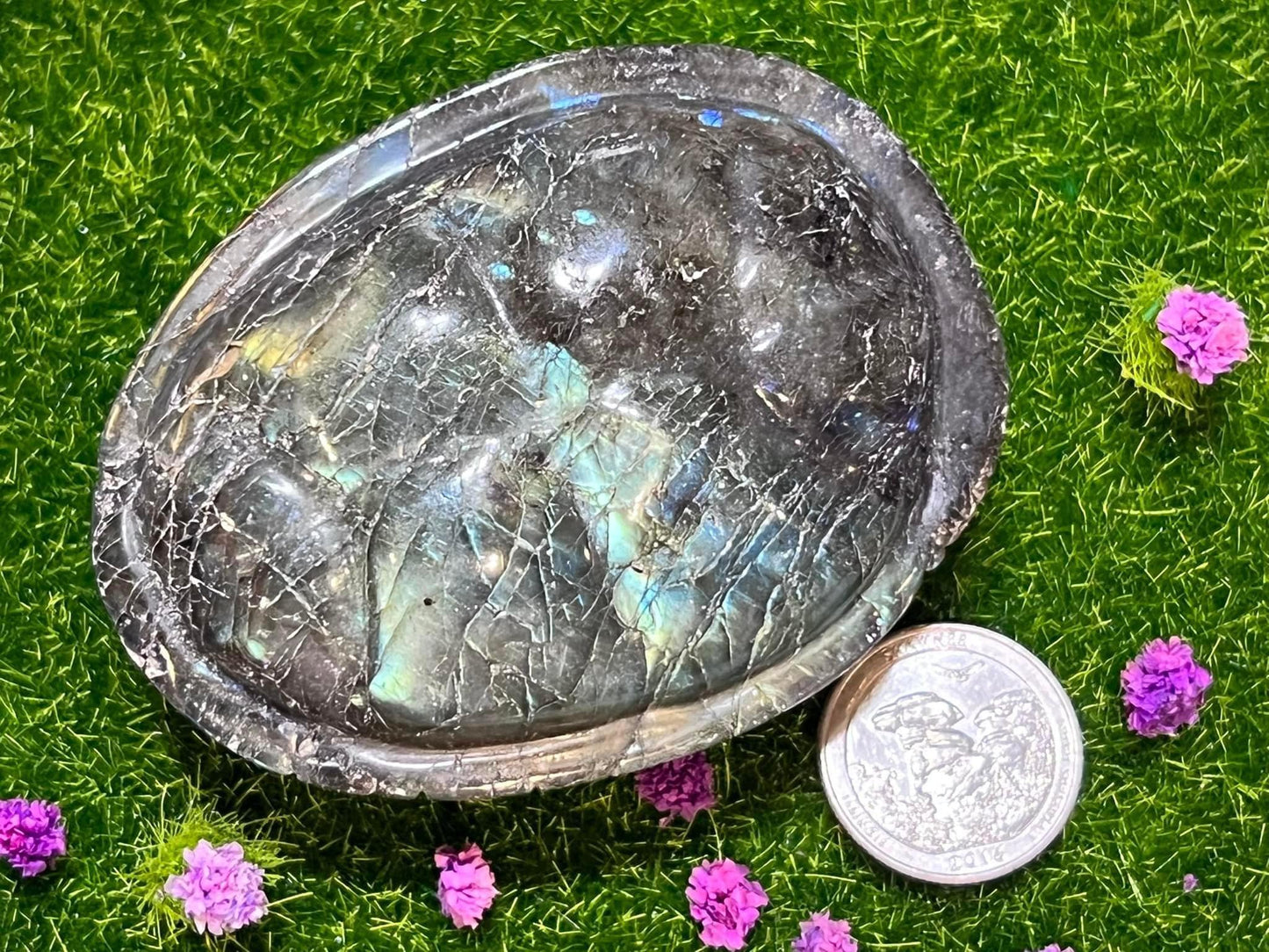 Labradorite Turtle Shell