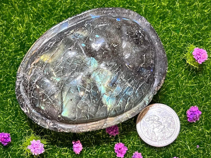 Labradorite Turtle Shell