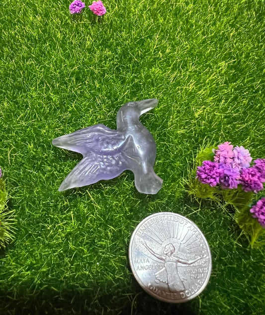 Fluorite Hummingbird