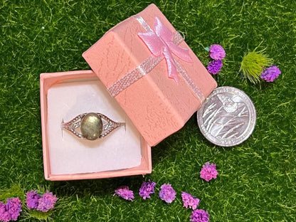 SS (Stainless Steel) Rings