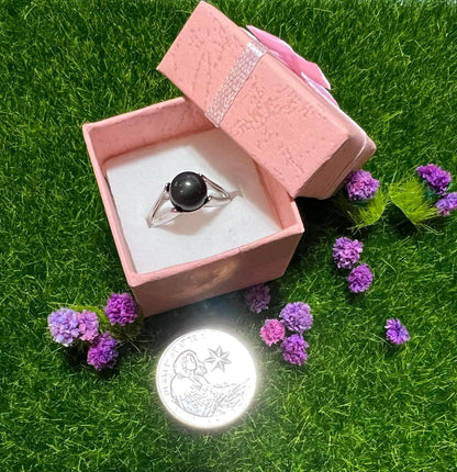 SS (Stainless Steel) Rings