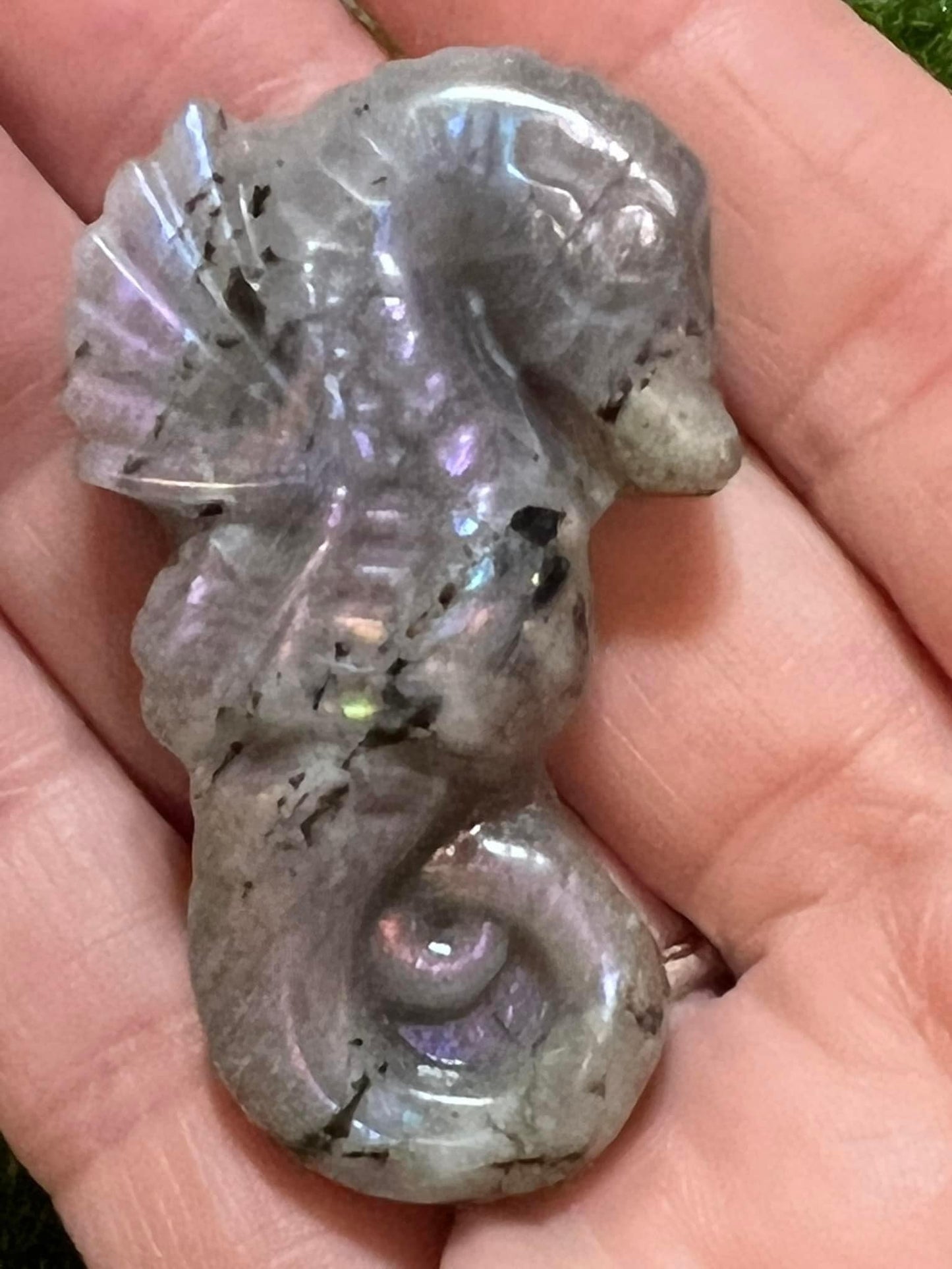 Labradorite Seahorse