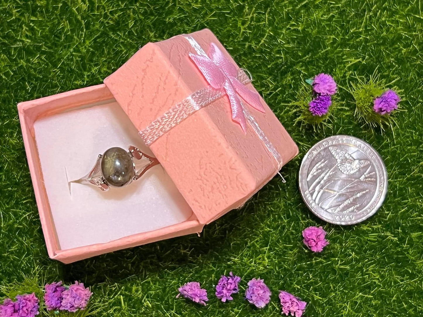 SS (Stainless Steel) Rings