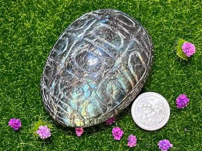 Labradorite Turtle Shell