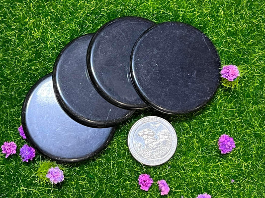 Shungite Disc