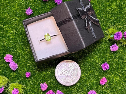 925 (Sterling Silver Rings