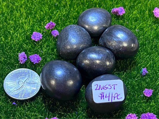Shungite Tumbles