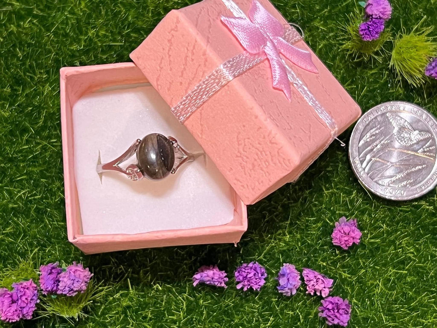 SS (Stainless Steel) Rings