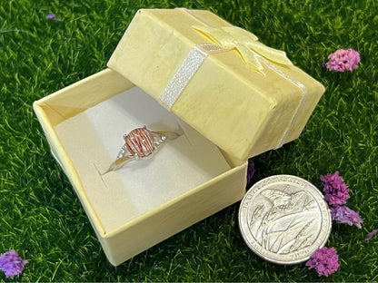 SS (Stainless Steel) Rings