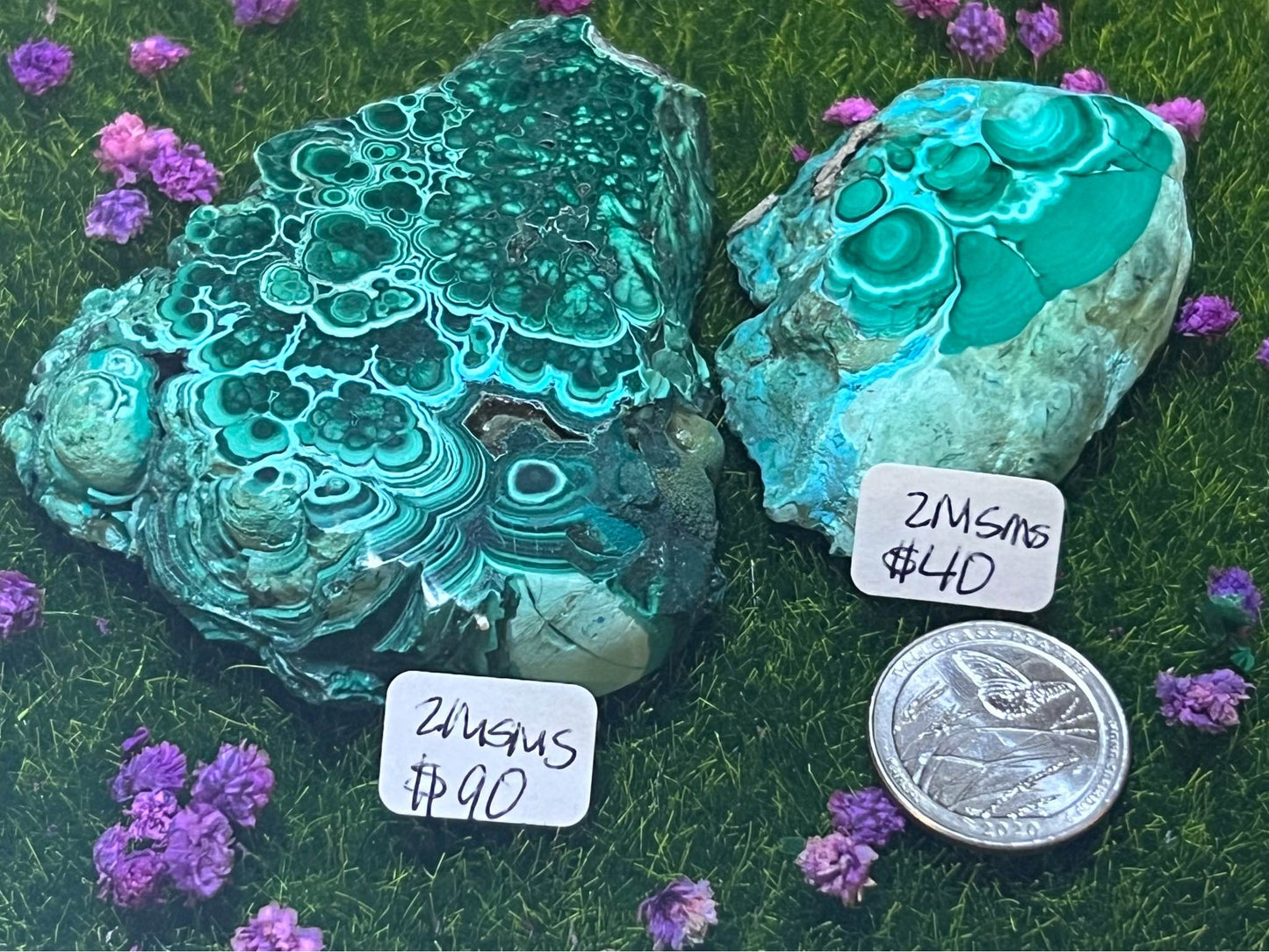 Small Malachite growing with Turquoise Slab