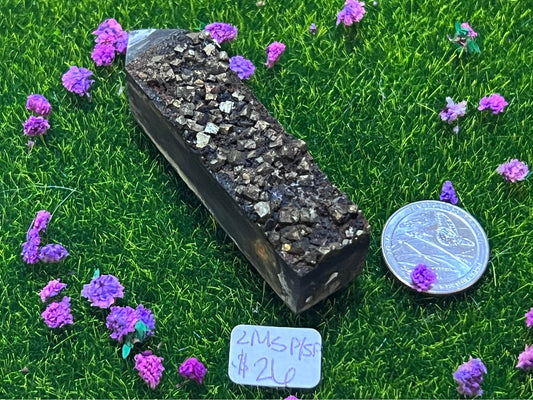 Shungite growing with Pyrite Point