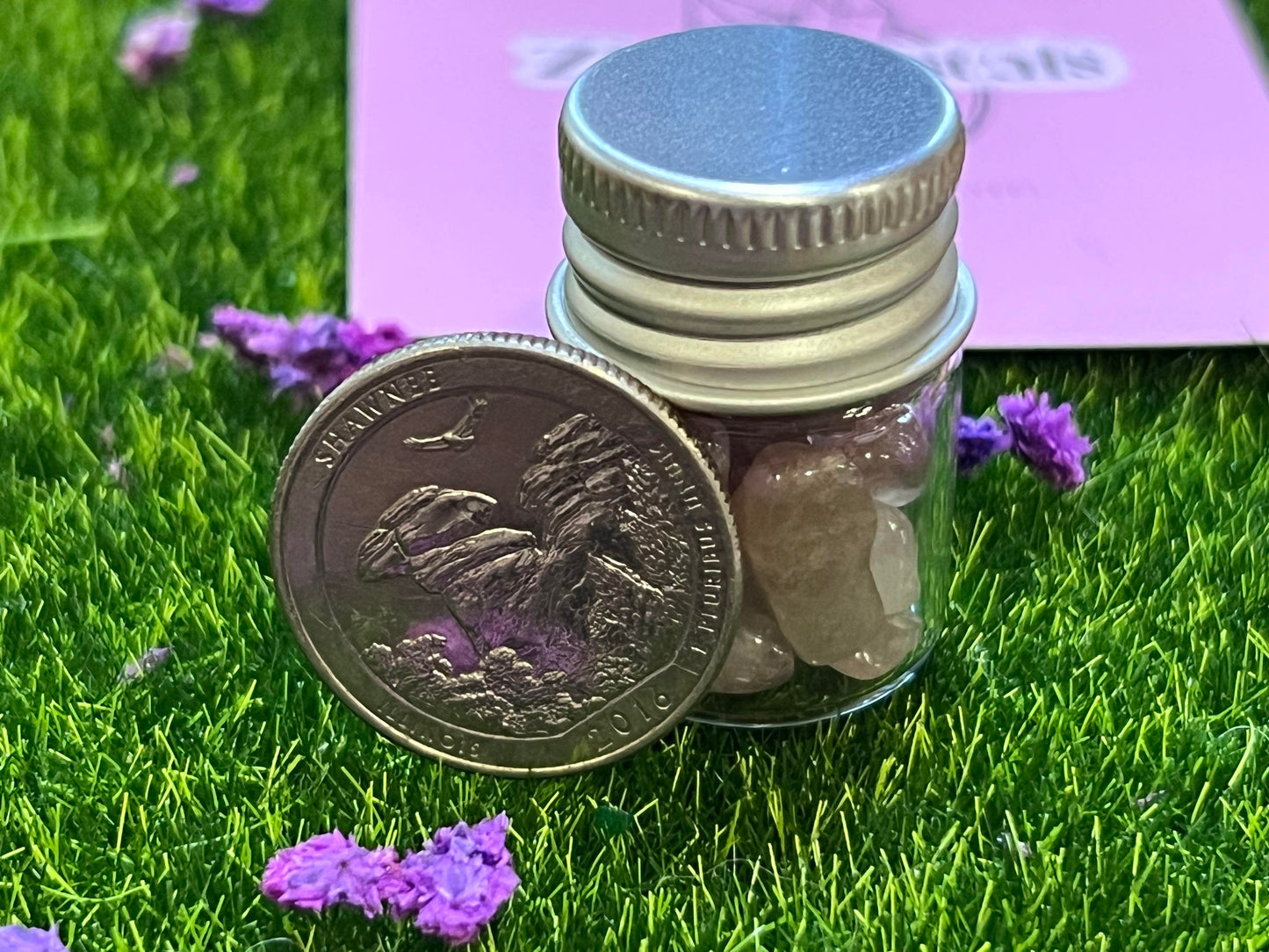 Mini Chip Jars