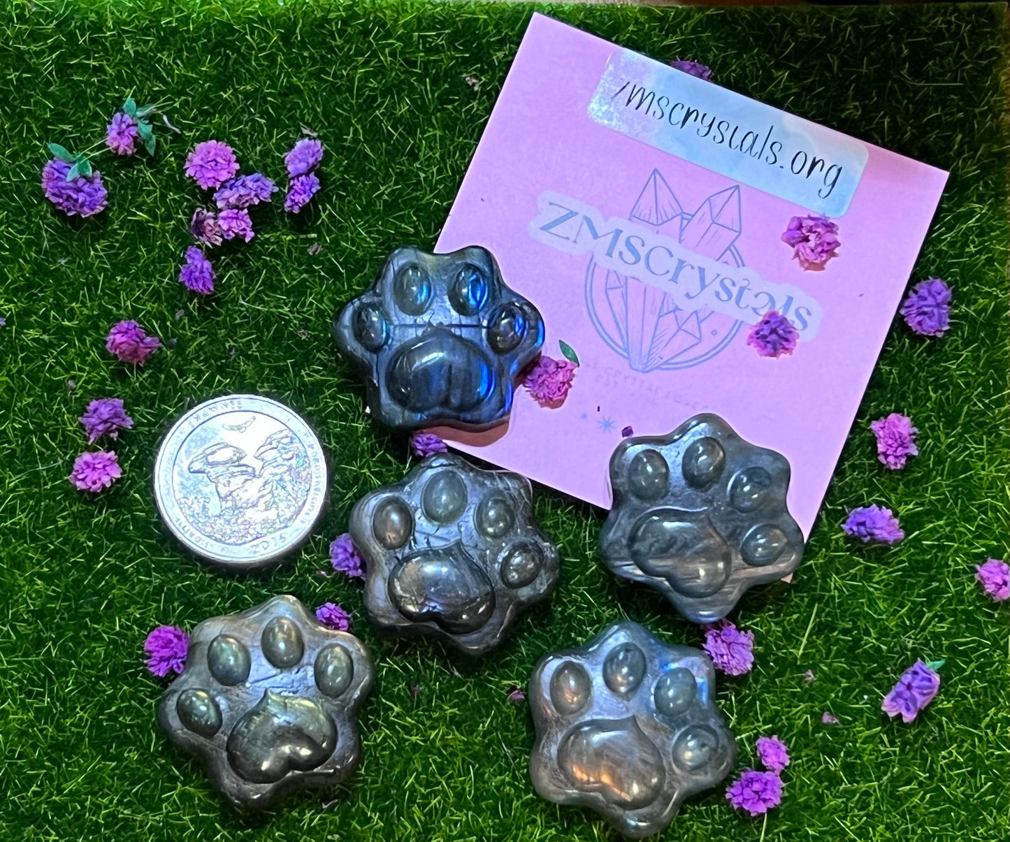 Labradorite Paws
